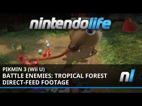 Pikmin 3 (Wii U) Battle Enemies: Tropical Forest - Direct Feed Footage