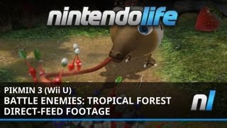 Pikmin 3 (Wii U) Battle Enemies: Tropical Forest - Direct Feed Footage