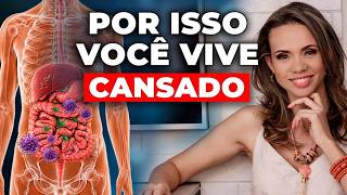 Cansaço Constante: O Que o Intestino Tem a Ver Com Isso? |  Adriana Mendes