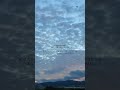Kelly Clarkson Because Of You Guitar Covered By Alex 和訳 Lyrics Shorts