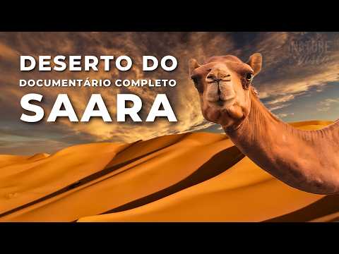 SAHARA DESERT | A Land of Extremes - Full Documentary