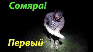 Рыбалка на сома в мае