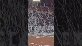 Download lagu story wa bonek persebaya ||story wa 30 detik #2 mp3