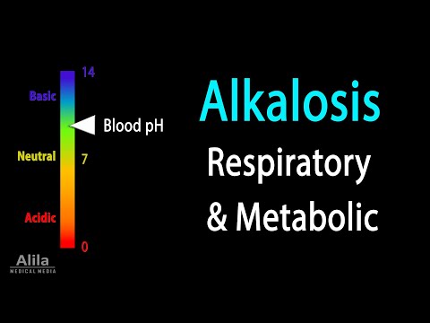 Carbohydrate Structure and Metabolism an Overview Animation