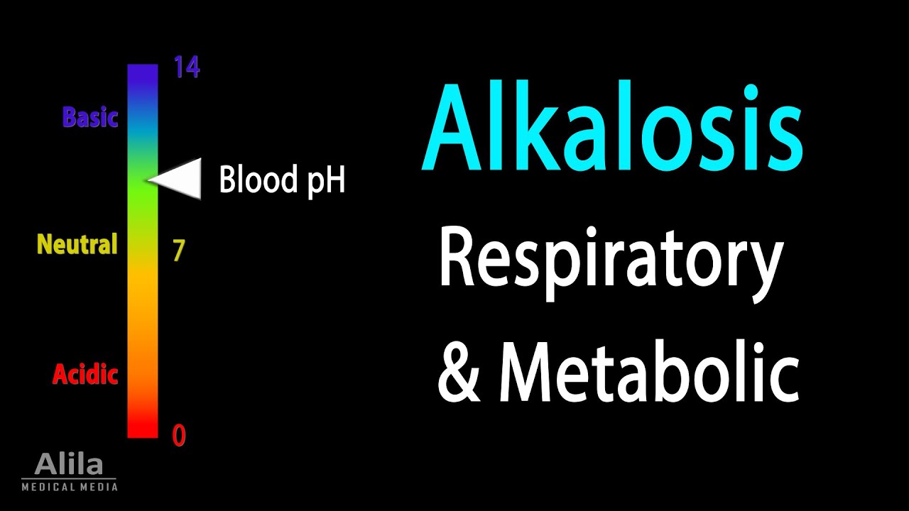 Alkalosis, Respiratory and Metabolic, Animation