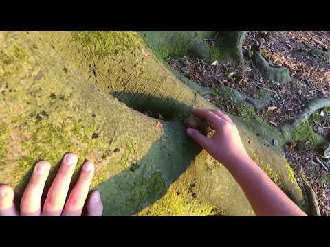 Mushrooms |Badtrip| (Hard Dose) [Zive]