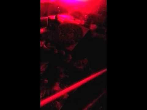 Cosmic Grow Live Halloweed Two Ocotlan Jal. Mexico