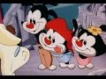 Animaniacs: I'll Be Mellow When I'm Dead