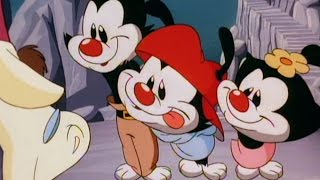 Animaniacs: I&#39;ll Be Mellow When I&#39;m Dead