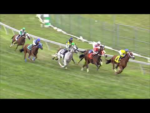 Pimlico 8 7 2021 Race 5