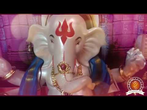 Jinish Dawda Home Ganpati Decoration Video