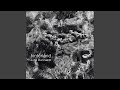 hinterland (A Soundscape) (feat. Stefan Schessl)