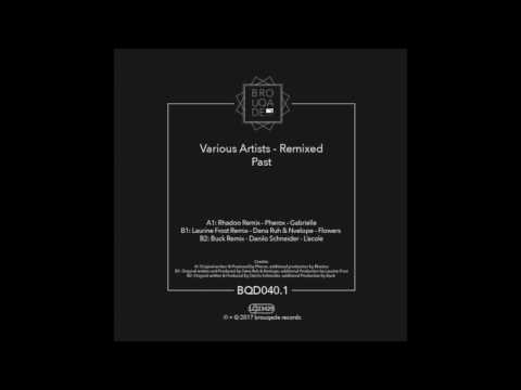 B2. Danilo Schneider - L ecole (Buck Remix)