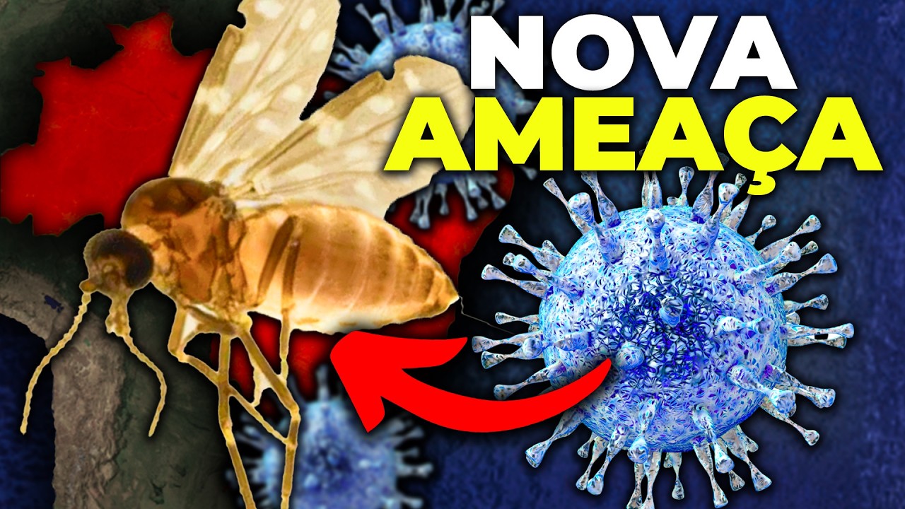 O que ESTÁ POR TRÁS do SURTO DE OROPOUCHE