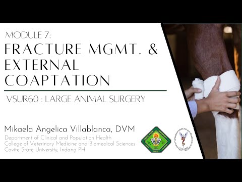 VSUR60 Module 7: Equine Fracture Management and Emergency Coaptation