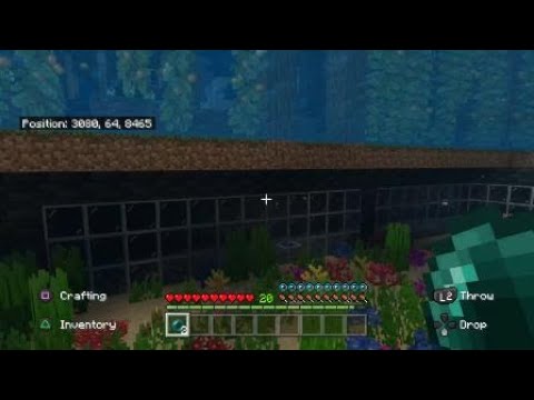 Minecraft - Throwing Ender Pearls with Lawless