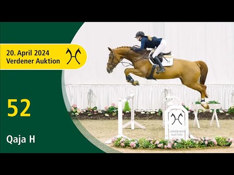 Verden Auction Online - Sporthorses - April, 20 - No. 52 Quaja H by Quaid I - Stakkato