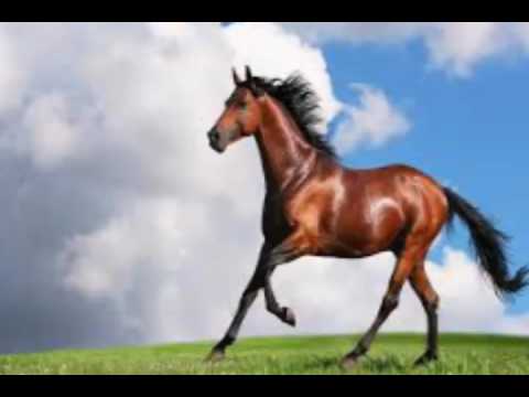 KATIKARAN JUNE 17   17 June 2016   05 20 02 PM