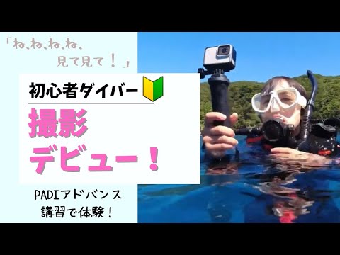 ダイバーのモデル