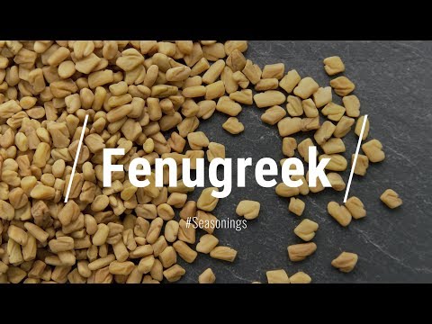 download lagu mp3 mp4 Fenegriek Smaak, download lagu Fenegriek Smaak gratis, unduh video klip Download Fenegriek Smaak Mp3 dan Mp4 320kbps Gratis