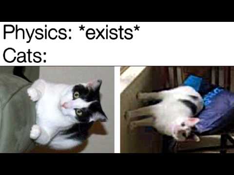 Cat Logic Makes No Sense