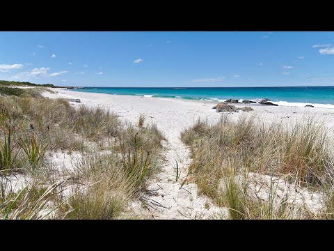 Pentax 12-24mm Lens - Impressions, Real World Use, Photos of Tasmania