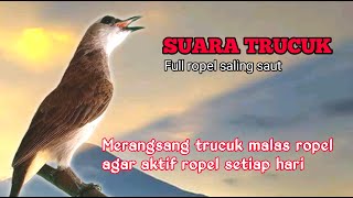 Download lagu Pakailah Burung Trucuk Gacor Saling Ropel Merangsang Trucukan Malas Jadi Aktif Ropel Setiap Hari mp3