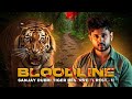 Bloodline War Bandhavgarh To Sanjay Dubri Legendary Tiger Dynasties Part 2