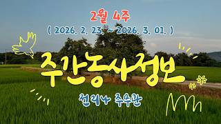 [ 주간농사정보 ] 2월 4째주 (2026. 2. 23. ~ 2026. 03. 01.)