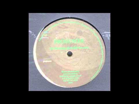 Prosumer - The Craze (Dub Mix)