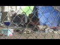 Tent City Closure 2016