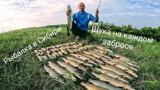 Ссылка
