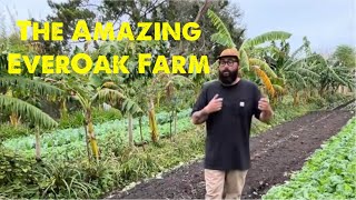 The Amazing EverOak Farm !