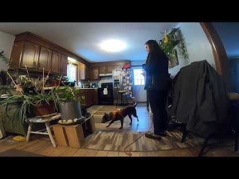 S16W1 Slick Red Light Green Light V1