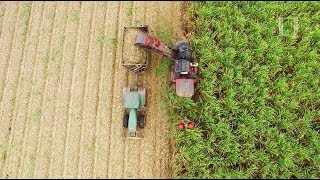 Miniatura do vídeo