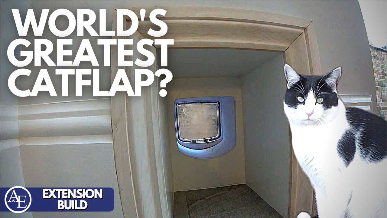 IS THIS THE WORLD'S GREATEST CATFLAP | Building an Extension #12 | Build with A&E