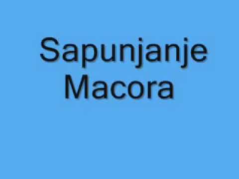 Stojan(telefonske zajebancije)