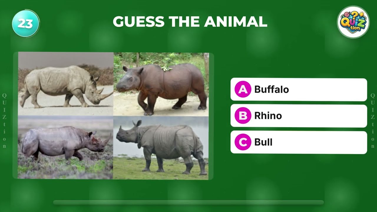 GUESS THE ANIMAL 🐾 | 30 Fun Animal Quiz Questions (Easy)