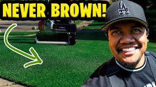 HEAT STRESS? hydrate your lawn! PETRA Neighbor's Envy GIVEAWAY winner announced!