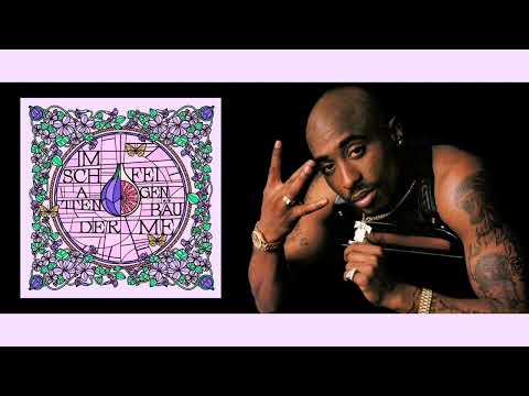 Shindy & 2Pac - IM SCHATTEN DER FEIGENBÄUME [PAIN REMIX]