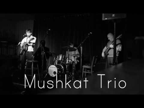 Mushkat Trio - I Don't Want To Talk About It (The Union Street, 4 November 2016)