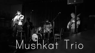 Mushkat Trio - I Don't Want To Talk About It (The Union Street, 4 November 2016)