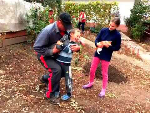 Portrete din Hlipiceni