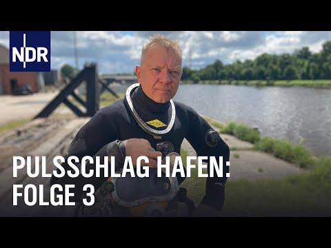 Video Thumbnail: Hafentaucher und Hackbraten (E03) | Pulsschlag Hafen | NDR Doku