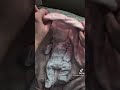 Silicone Reborn Box Opening