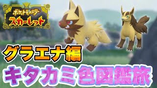 #6 キタカミ色図鑑完成旅　グラエナ編　【ポケモンSV】　【碧の仮面】