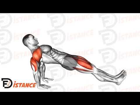 Exercice Planche inversée