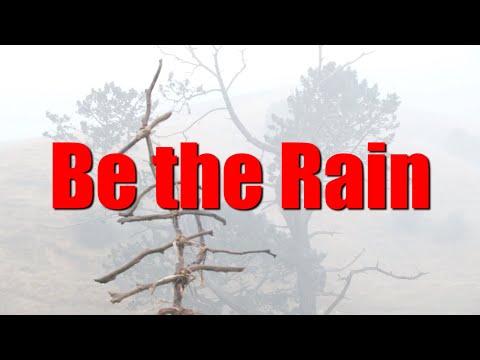 Be the Rain - Neil Young & Crazy Horse Cover - Save the planet - #neilyoung #crazyhorse