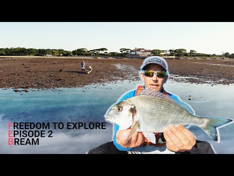 Freedom to Explore - Episode 2 - Bream - Smoothound - Bass -  Fish BBQ