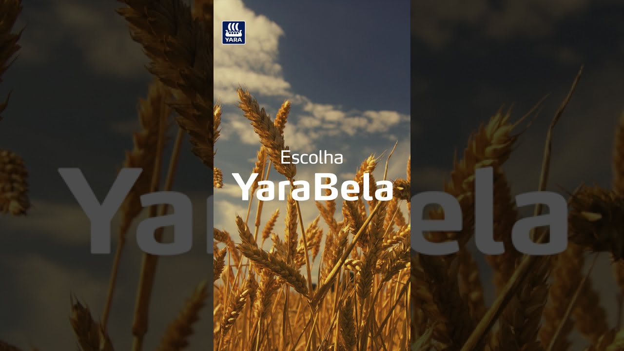 Plantação mais rentável | YaraBela